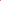 Fuchsia gluttony